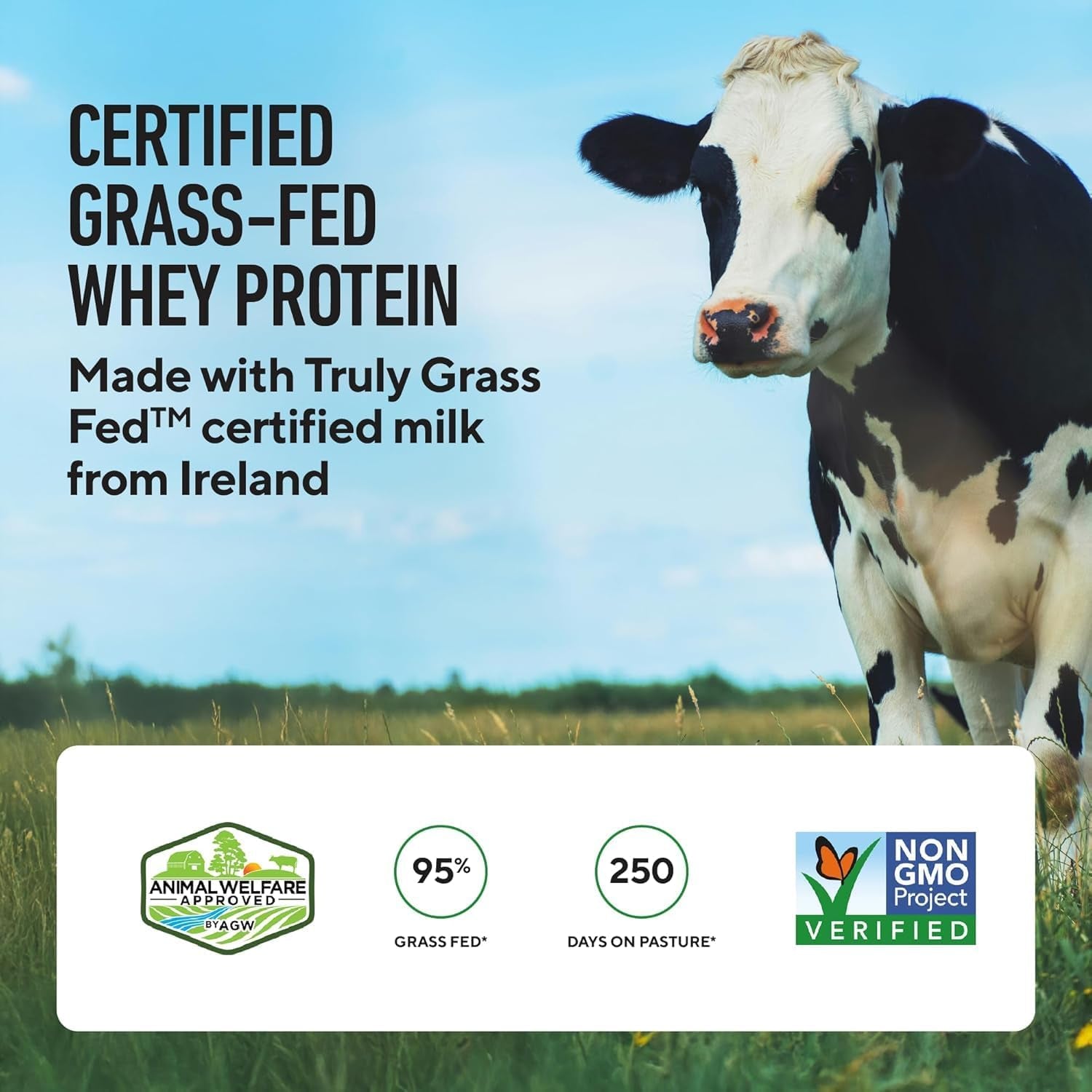 Whey Protein Powder - Whey+ Isolate Protein Powder - Protein Isolate from Grass Fed Cows - Non-Gmo, Lactose-Free, Sugar-Free Protein Powder Dietary Supplemen (30 Servings, Vanilla)